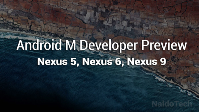 nexus android 5 developer preview