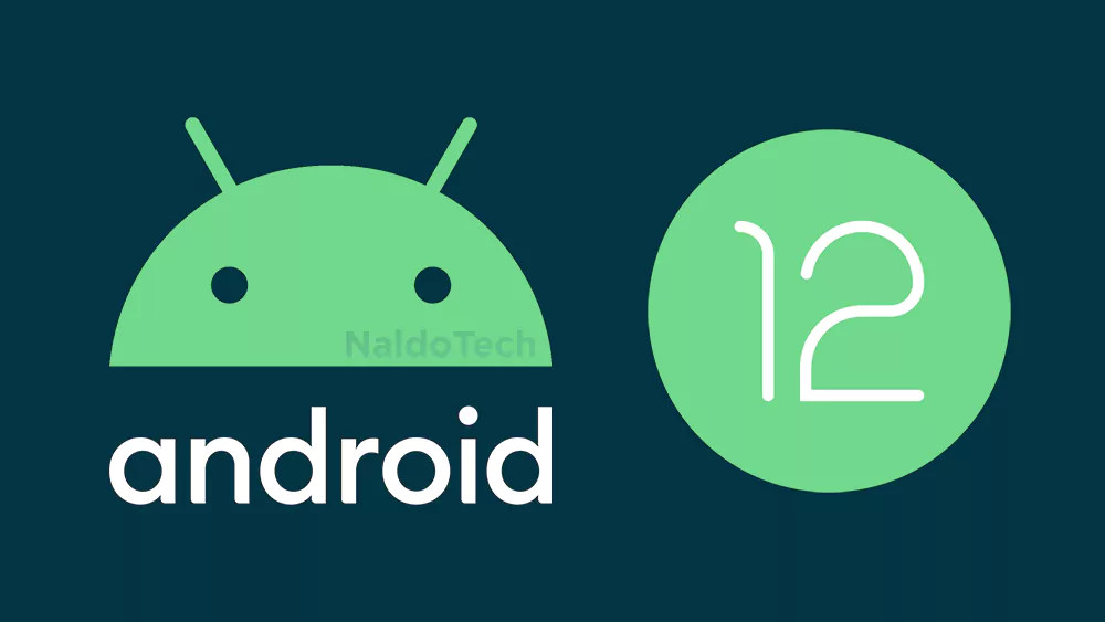 android 12 developer preview